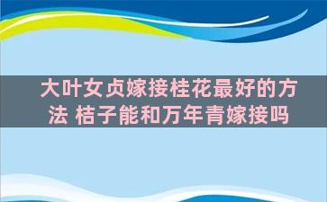 大叶女贞嫁接桂花最好的方法 桔子能和万年青嫁接吗